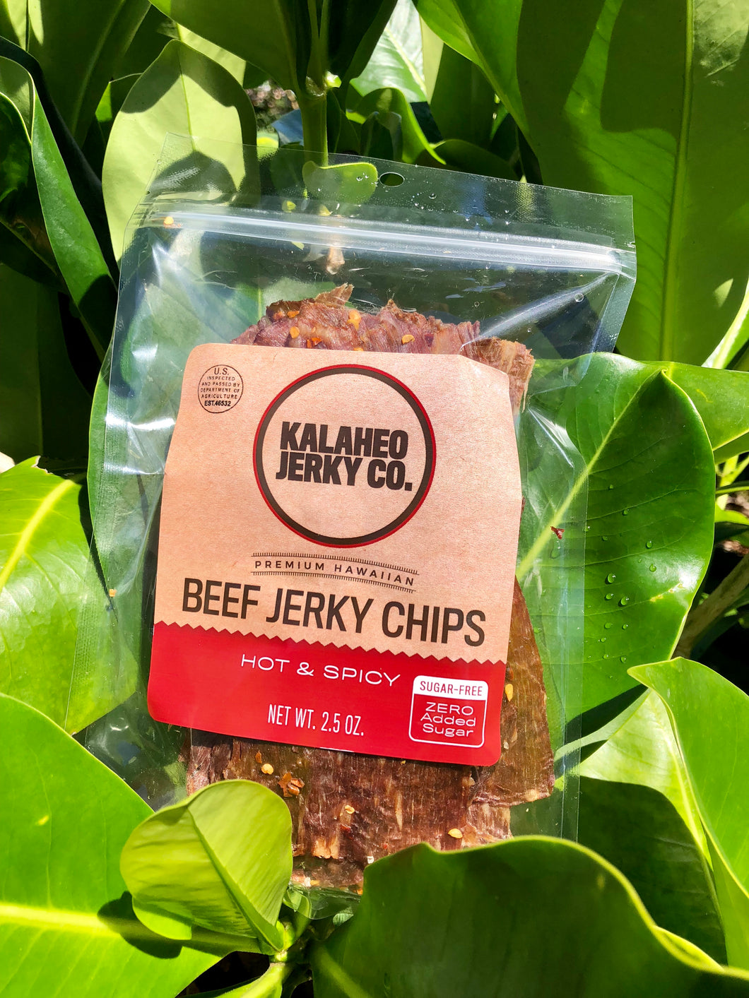 2.5OZ HOT Beef Chips